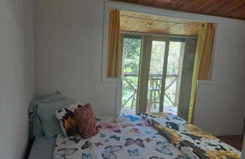Copey Apartamento | Cabaña 10