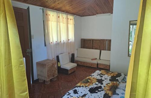 Copey Apartamento | Cabaña 10