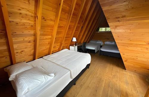 Marinilla Apartamento | Cabaña Acogedora en finca de aguacates