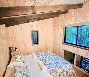 Panguipulli Casa | Cabaña Alto del Bosque