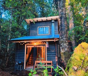 Panguipulli Casa | Cabaña Alto del Bosque