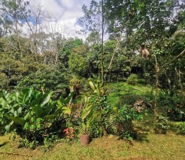 Pacuare Reserve Complejo | Cabaña AMOTO