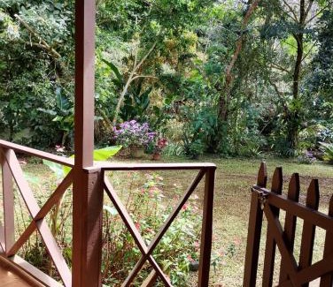 Pacuare Reserve Complejo | Cabaña AMOTO