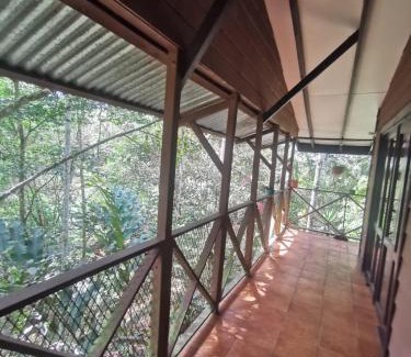 Pacuare Reserve Complejo | Cabaña AMOTO