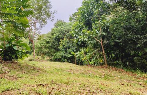 San Jose del Guaviare Otro | Cabaña Armonia