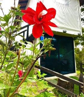 Guarne Casa | Cabaña Blanca Guarne cerca a Metrocable ARVI