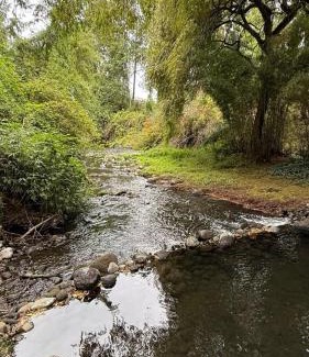 Lican Ray Casa | Cabaña Borde Río para 2 Licanray
