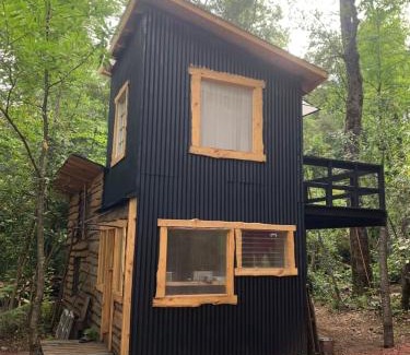 Pinto Chalet De Esquí | Cabaña bosque