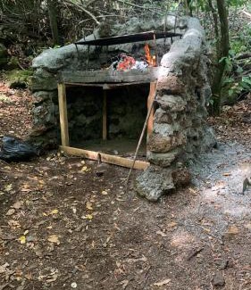 Pinto Chalet De Esquí | Cabaña bosque