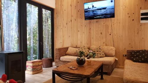 Puerto Varas Casa | Cabaña Bosque Rio