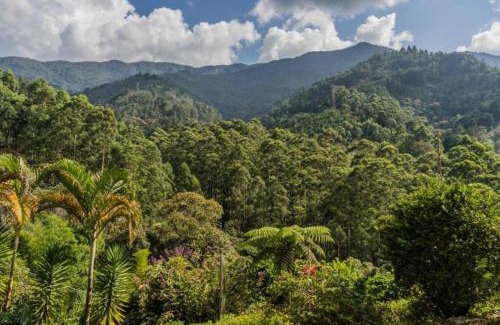 Envigado Casa | Cabaña campestre cerca a Ecoparque El Salado, Envigado.