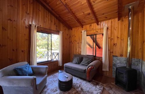 Panguipulli Casa | Cabaña campestre con amplio espacio natural