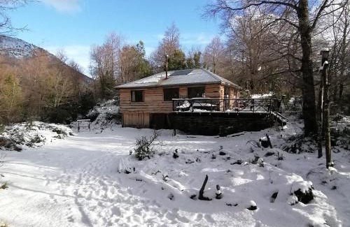 Melipeuco Apartamento | Cabaña Conguillío