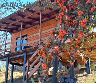 San Clemente Casa | Cabaña de Campo - Valle de Calamuchita - Sierras de Córdoba