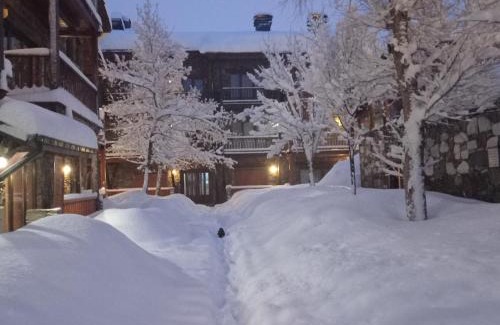 Soldeu Apartamento | Cabaña de madera Valle de Incles Orenetes HUT - 8301