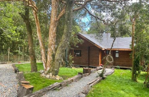 Valdivia Casa | Cabaña del bosque con estero