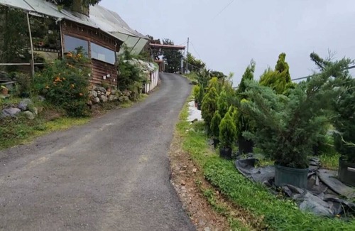 Cantón de Dota Cabina | Cabaña el Faisan, Jardin de Dota, espacio para conectar con la naturaleza.