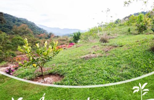 Pejibaye Chalet De Esquí | Cabaña el Guayabal