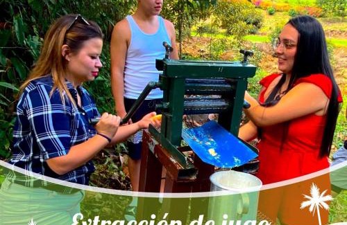 Pejibaye Chalet De Esquí | Cabaña el Guayabal
