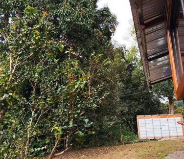 Rivas Otro | Cabaña el Mango