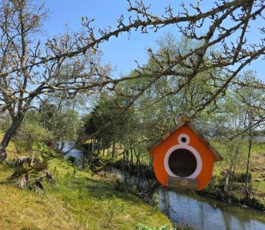 Zacatlán Casa | cabaña el rio la grande