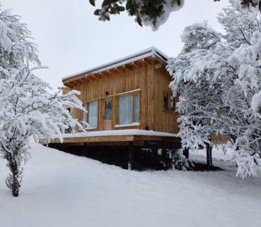 Lanin National Park Chalet De Esquí | Cabaña en la montaña: La Cascada
