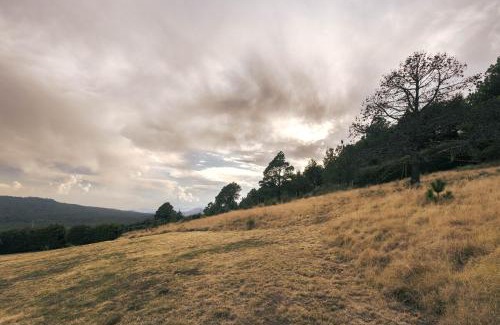 Tlalpan Apartamento | Cabaña en el Ajusco, experiencia única en la naturaleza