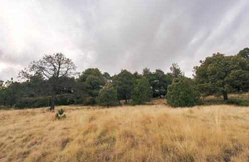 Tlalpan Apartamento | Cabaña en el Ajusco, experiencia única en la naturaleza