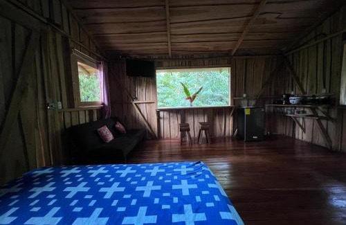 Quebrada La Gamba Casa | Cabaña En El Bosque