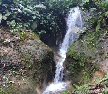 Quebrada La Gamba Casa | Cabaña En El Bosque