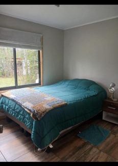 Pucon Casa | Cabaña en el claro