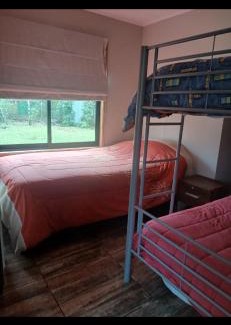 Pucon Casa | Cabaña en el claro