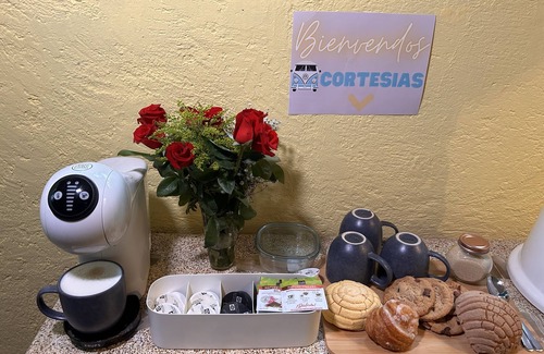 Tepoztlán Cabina | Cabaña en el corazón del bosque - Petfriendly