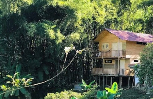 Medellin Cabina | Cabaña en finca cafetera cerca a Medellín