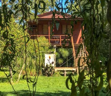 Partido de Tigre Casa | Cabaña en Isla del Delta de Tigre - LA CALMA
