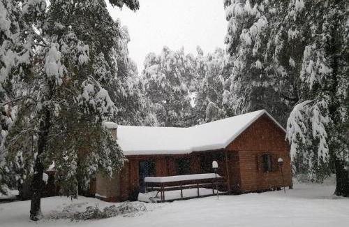 Pinto Chalet De Esquí | Cabaña en Termas de Chillán