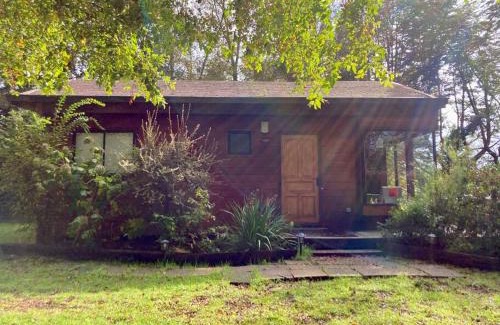 Valdivia Casa | Cabaña entre árboles