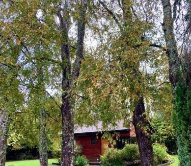 Valdivia Casa | Cabaña entre árboles