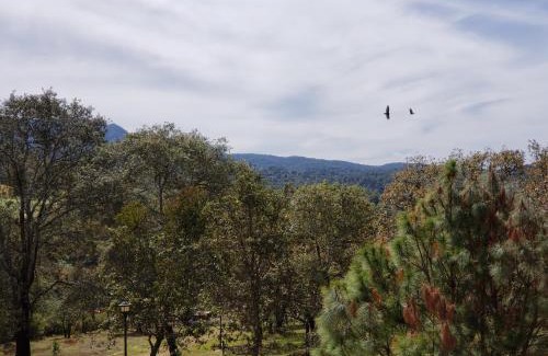 Mazamitla Casa | Cabaña Eucalipto 32