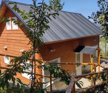 Villa Pehuenia Chalet De Esquí | Cabaña La Encontrada