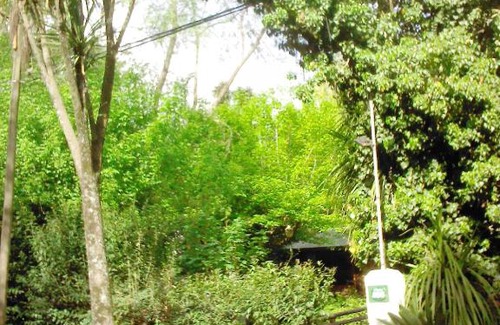 Tandil Cabina | Cabaña La Strega