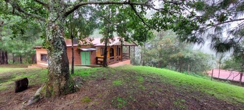 San Jose del Pacifico Casa | Cabaña La Vía Láctea