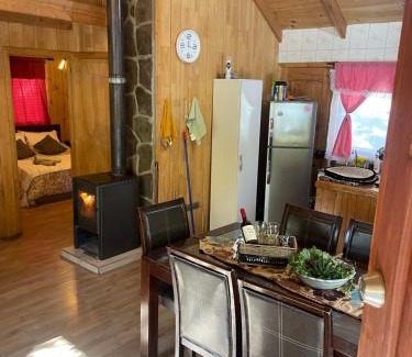 Pinto Chalet De Esquí | Cabaña las Trancas