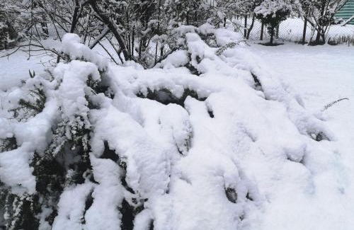Melipeuco Apartamento | Cabaña May Pao, para 3 en Melipeuco cerca del Parque Nacional Conguillio
