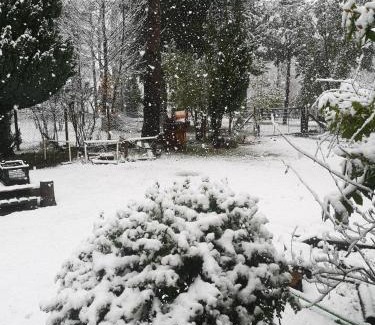 Melipeuco Apartamento | Cabaña May Pao, para 3 en Melipeuco cerca del Parque Nacional Conguillio