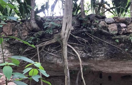 Tzucacab Casa | Cabaña Maya Fuego