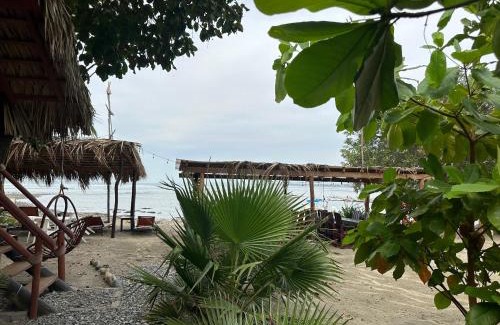 Saladita Apartamento | Cabaña Maydé Punto Surf Barra La Saladita
