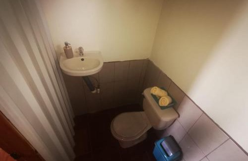 Aguas Zarcas Apartamento | Cabaña Mono Cariblanco