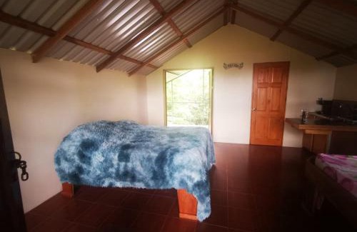 Aguas Zarcas Apartamento | Cabaña Mono Cariblanco