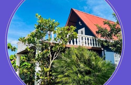 Alto Boquete Apartamento | Cabaña Montaña Azul Boquete